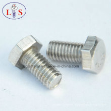 Stainless Steel Hexagon Head Machine Screw/Bolt / Hex Bolt